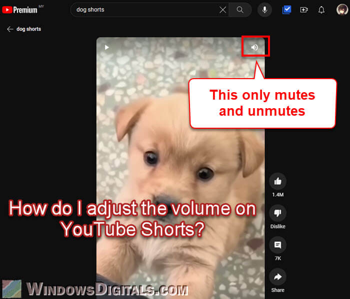 How to Adjust Volume Control on YouTube Shorts