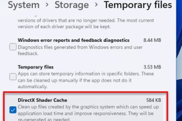 How to Clear DirectX Shader Cache in Windows 11