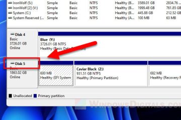 How to Delete Protected EFI System Partition in Windows 11