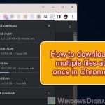 How to Download Multiple Files at Once in Chrome