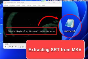 How to Extract SRT Subtitles From MKV