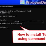 How to Install Telnet via CMD or PowerShell in Windows 11