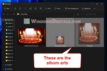 How to Remove Album Art From MP3 in Windows 11 10