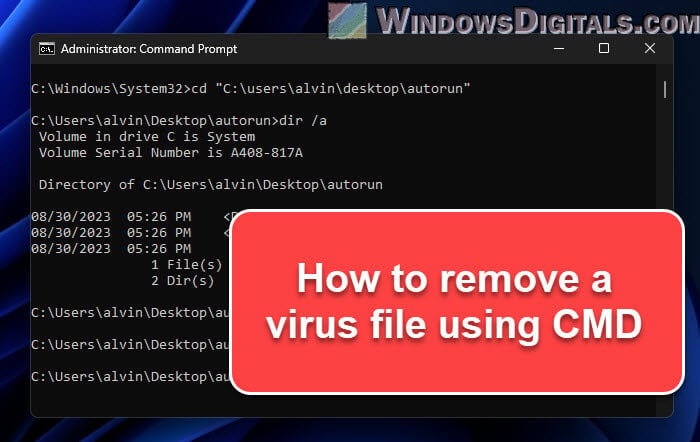 How to Remove Virus Using CMD in Windows 11 or 10