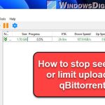 How to Stop Seeding in qBittorrent