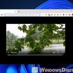 How to Stream Video From URL Link