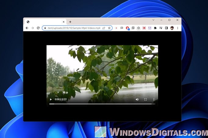 How to Stream Video From URL Link