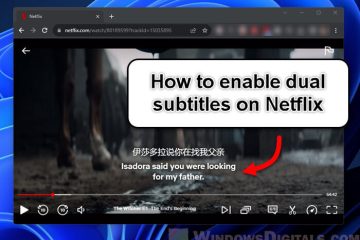 How to Watch Netflix with Dual Subtitles