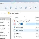 How to change file extension in Windows 11