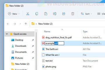 How to change file extension in Windows 11