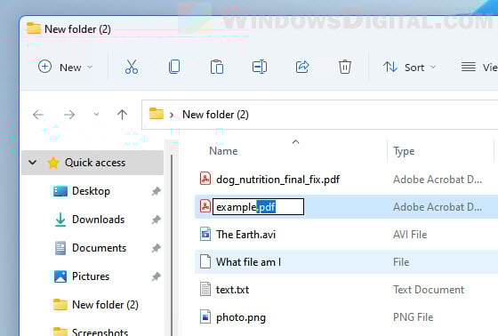How to change file extension in Windows 11