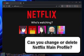 How to change or delete main profile on Netflix