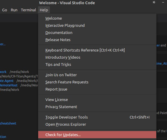 How to check VS Code for updates