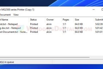 How to check print history Windows 11