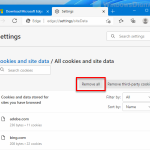 How to clear cookies in Windows 11