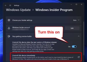 remove windows 11 insider preview update