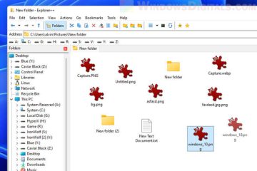 How to move files around in a folder in Windows 11