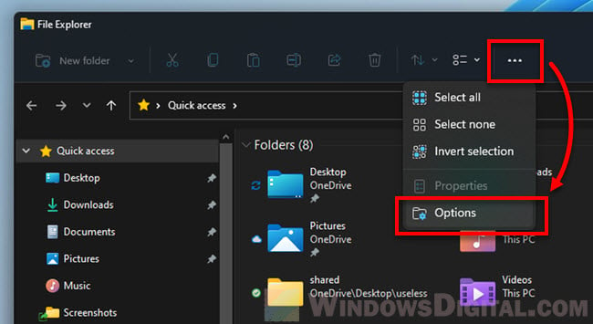 How to open Folder Options on Windows 11