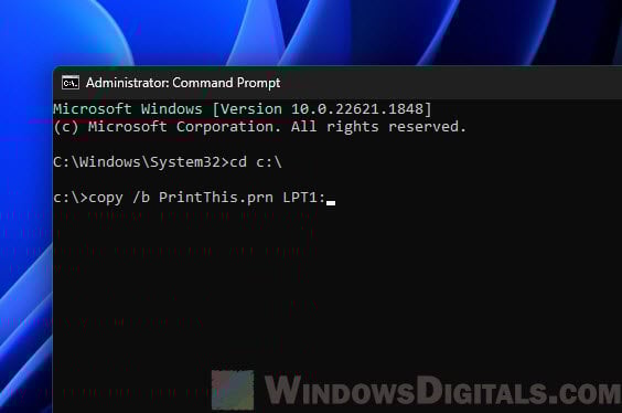 How to print .prn file