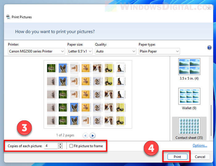 How to print multiple pictures on one page Windows 11