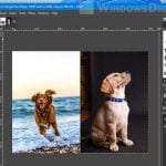 How to put two pictures side by side Windows 11