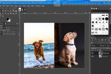How to put two pictures side by side Windows 11
