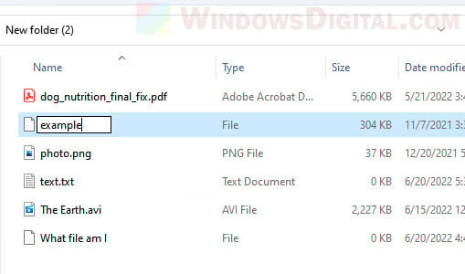 How to remove file extension in Windows 11