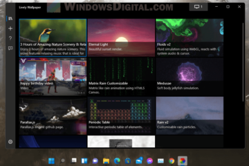 How to set live wallpaper in Windows 11