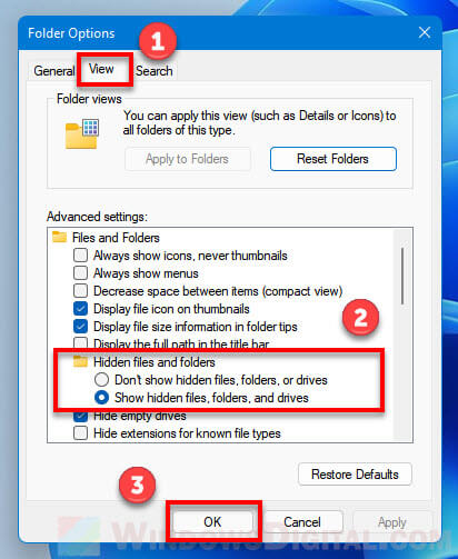 How to show hidden files folders Windows 11