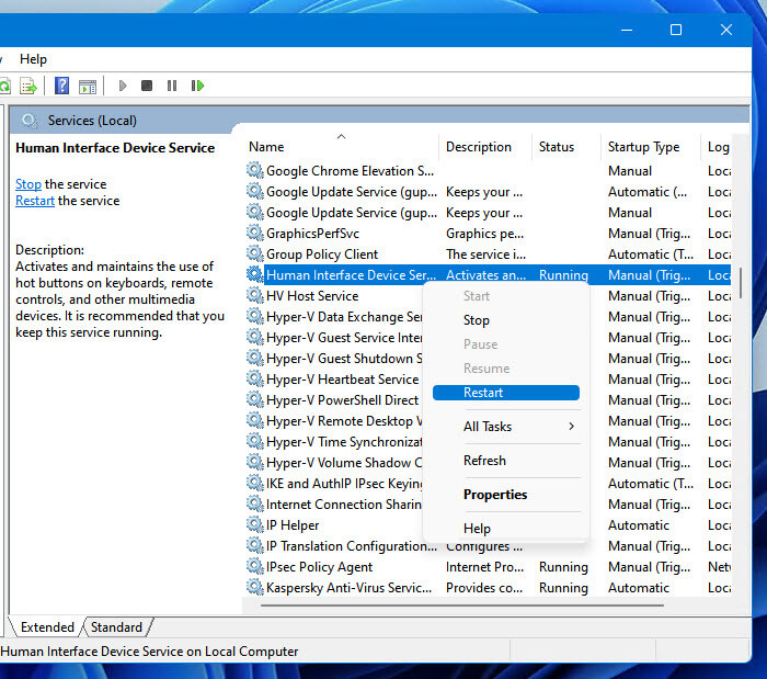 Human Interface Device Service Windows 11