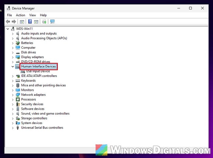Human Interface Devices Device Manager Windows 11