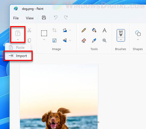Import picture in Paint Windows 11