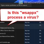 Is wsappx a Virus