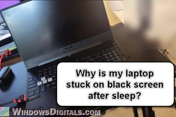 Laptop Stuck on Black Screen After Sleep Windows 11 10