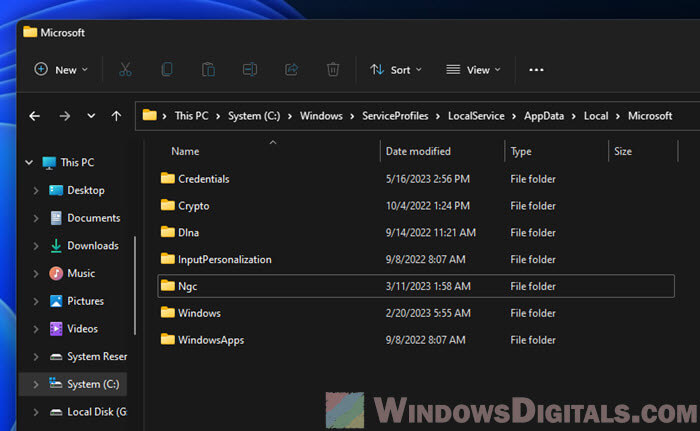 Locate the NGC folder in Windows 11