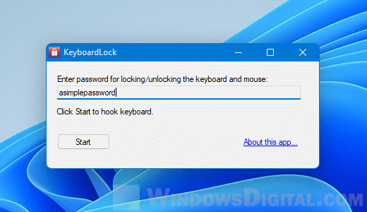 Lock keyboard and mouse with password