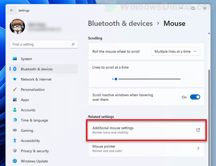 Mouse Properties Windows 11