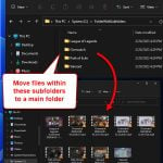 Move All Files from Subfolders to Main Folder