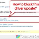 "NVIDIA Display Driver Update (32.0.16.1088)" in Windows Update, What to do?