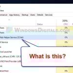 NVIDIA Web Helper Service
