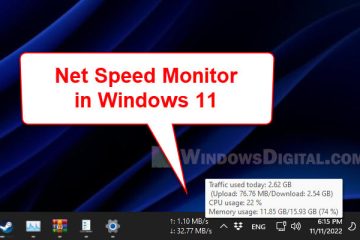 NetSpeedMonitor Windows 11