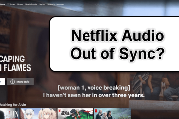 Netflix Audio and Video Out of Sync