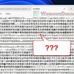 Notepad Chinese Characters Bug