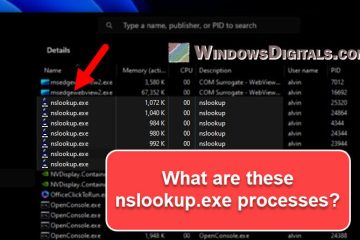 Nslookup.exe keeps popping up