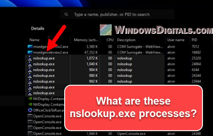 Nslookup.exe keeps popping up