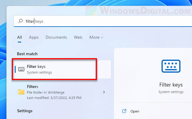 Open Filter Keys Windows 11