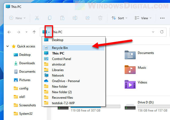 Open Recycle Bin via File Explorer Windows 11