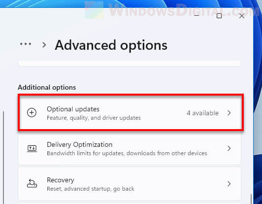 Optional Updates Windows 11