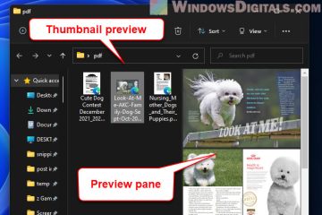 PDF Thumbnail Preview Not Working Windows 11