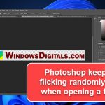 Photoshop Screen Flickering Black and White in Windows 11 or 10
